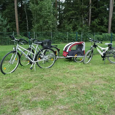 Zur Fledermaus Apartment *