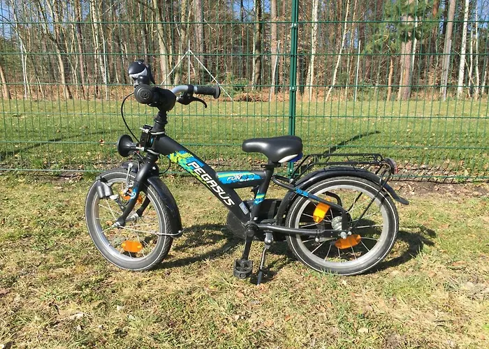 Zur Fledermaus *