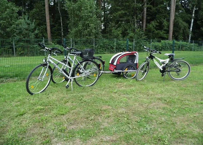 Zur Fledermaus 아파트 *